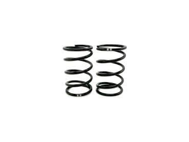 SWORKz GT Black Competition Feder Stoßdämpfer A2 (40x2.2x5.25)(GN)(2)